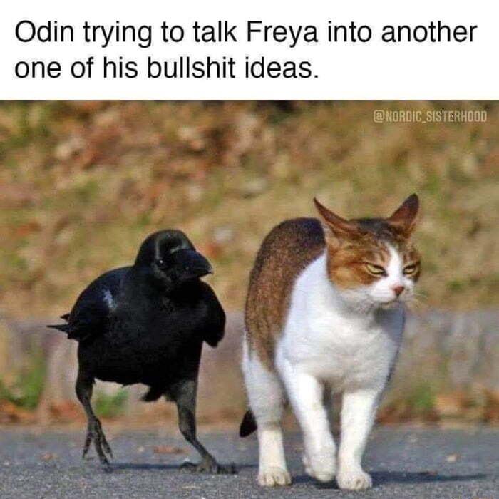 QOdin trying to talk Freya into another one of his bullshit ideas