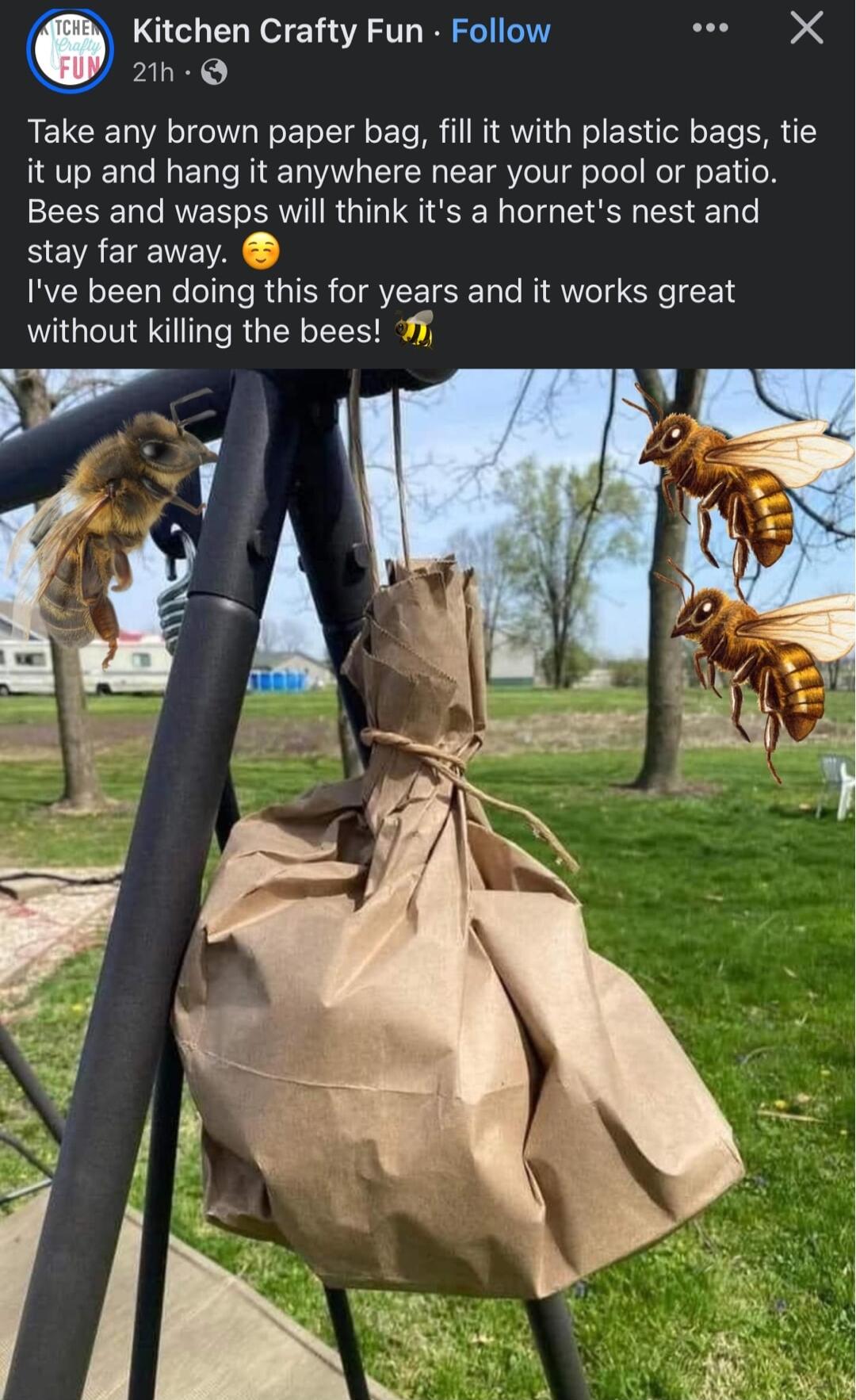 Kitchen Crafty Fun Follow 21h Q Take any brown paper bag fill it with plastic bags tie it up and hang it anywhere near your pool or patio Bees and wasps will think its a hornets nest and stay far away Ive been doing this for years and it works great without killing the bees