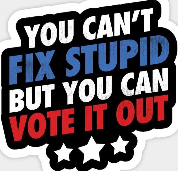 YOU CAN'T FIX STUPID BUT YOU CAN VOTE IT OUT