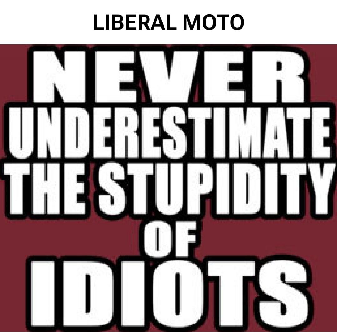 LIBERAL MOTO
NEVER UNDERESTIMATE THE STUPIDITY OF IDIOTS