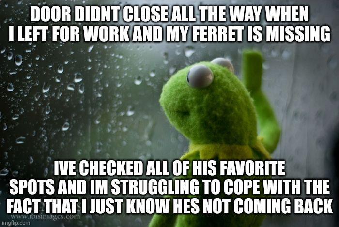 DOOR DIDNTCLOSEALLTHE WAY WHEN I LEFT FOR WORKAND MY FERRET IS MISSING dnSa v 4 _5 _Ljv f 0 v 4 M IVE CHECKED ALL OF HIS FAVORITE SPOTS AND IM STRUGGLING TO COPE WITH THE FACT THAT 1 JUST IIIIW HES NOT COMING BACK I