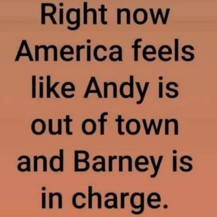 Right now America feels like Andy is out of town and Barney is in charge