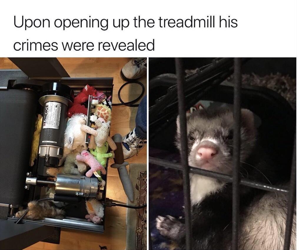 Upon opening up the treadmill his crimes were revealed
