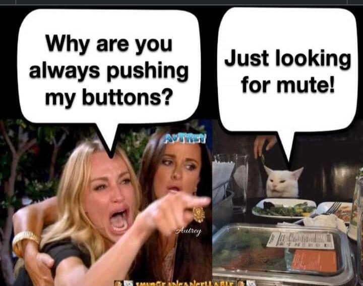 Why are you always pushing my buttons Just looking for mute