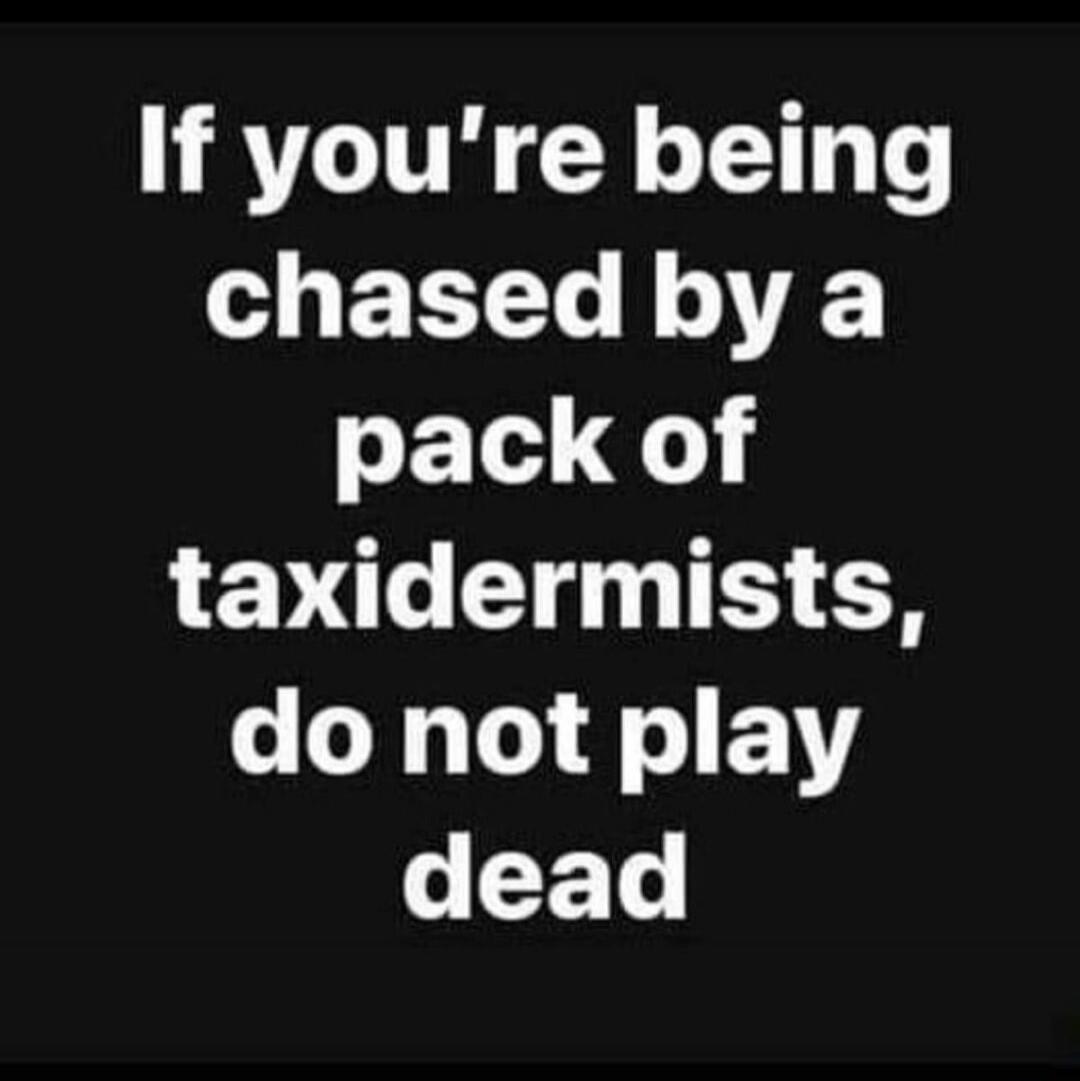 If you're being chased by a pack of taxidermists, do not play dead
