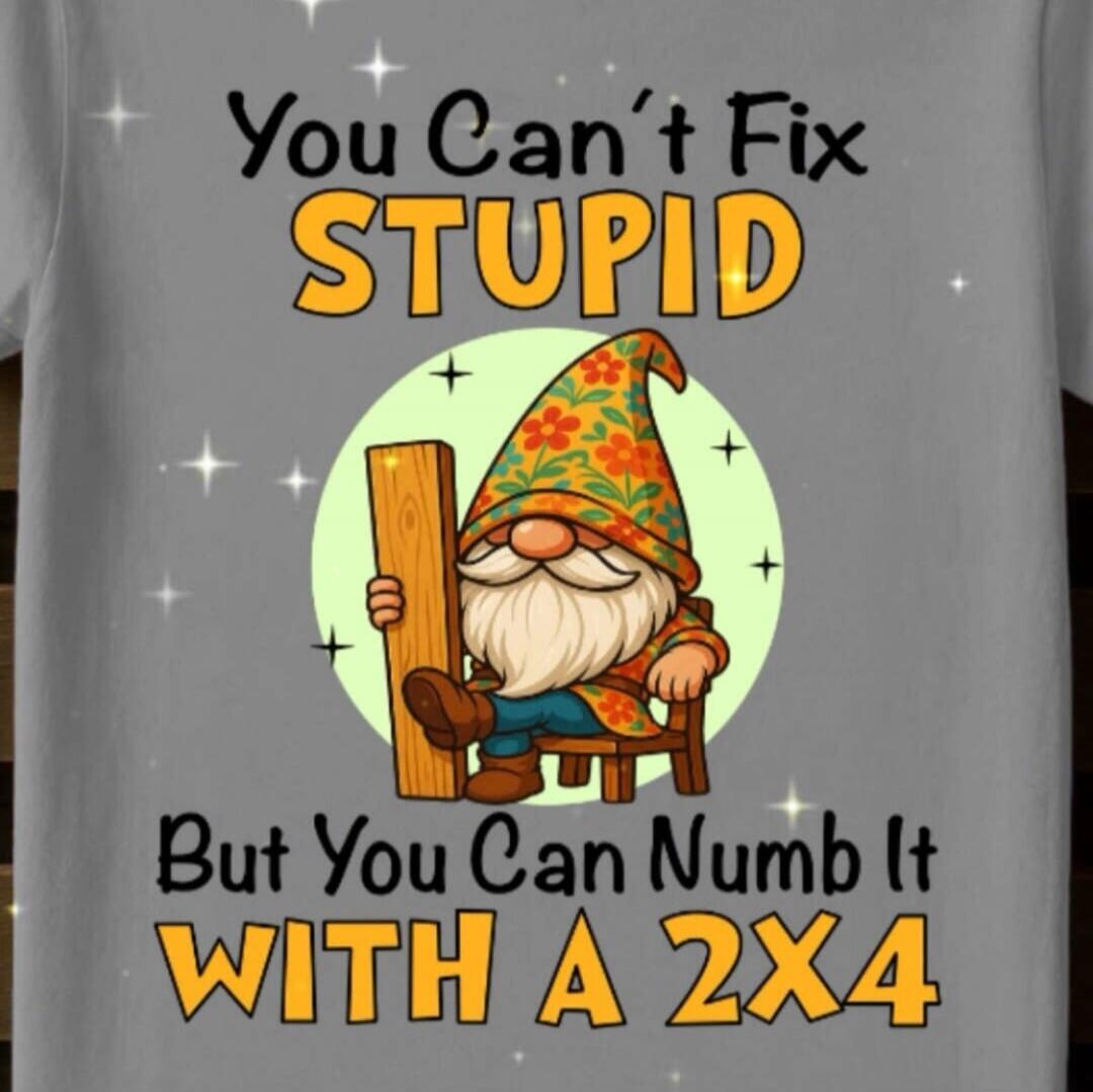 You Can't Fix STUPID But You Can Numb It WITH A 2X4