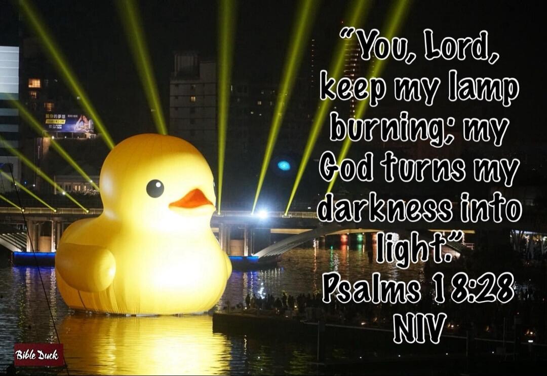 You, Lord, keep my lamp burning; my God turns my darkness into light. Psalms 18:28 NIV