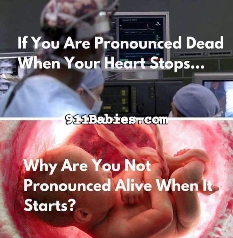 If You Are Pronounced Dead When Your Heart Stops... 911Babies.com Why Are You Not Pronounced Alive When It Starts?