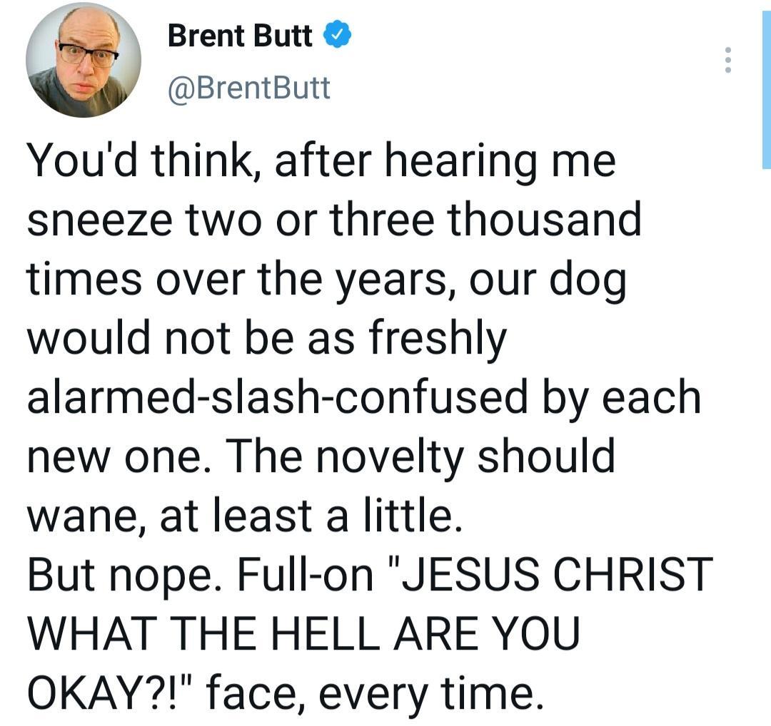 Brent Butt BrentButt Youd think after hearing me sheeze two or three thousand times over the years our dog would not be as freshly alarmed slash confused by each new one The novelty should wane at least a little But nope Full on JESUS CHRIST WHAT THE HELL ARE YOU OKAY face every time