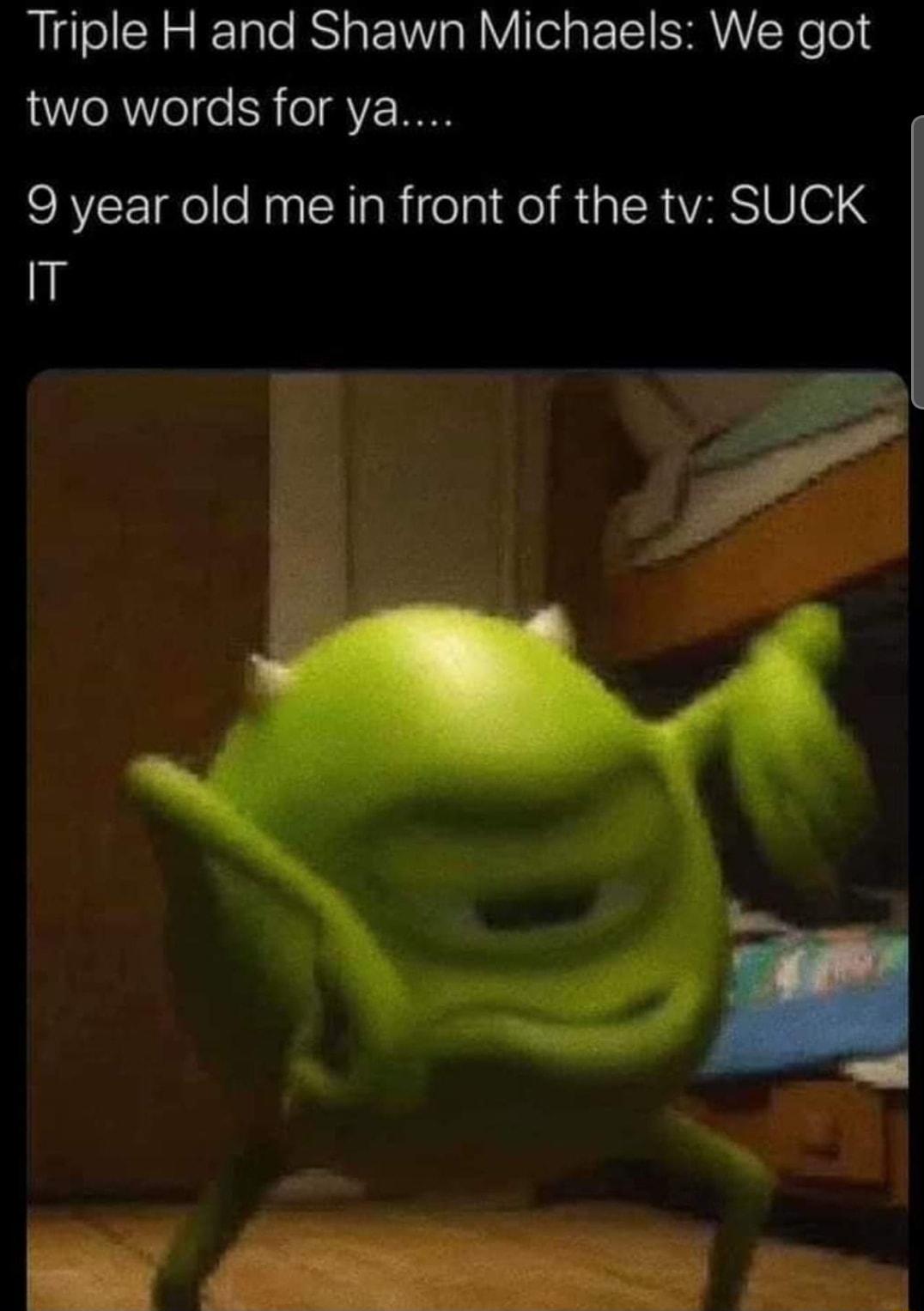 Triple H and Shawn Michaels We got two words for ya 9 year old me in front of the tv SUCK IT