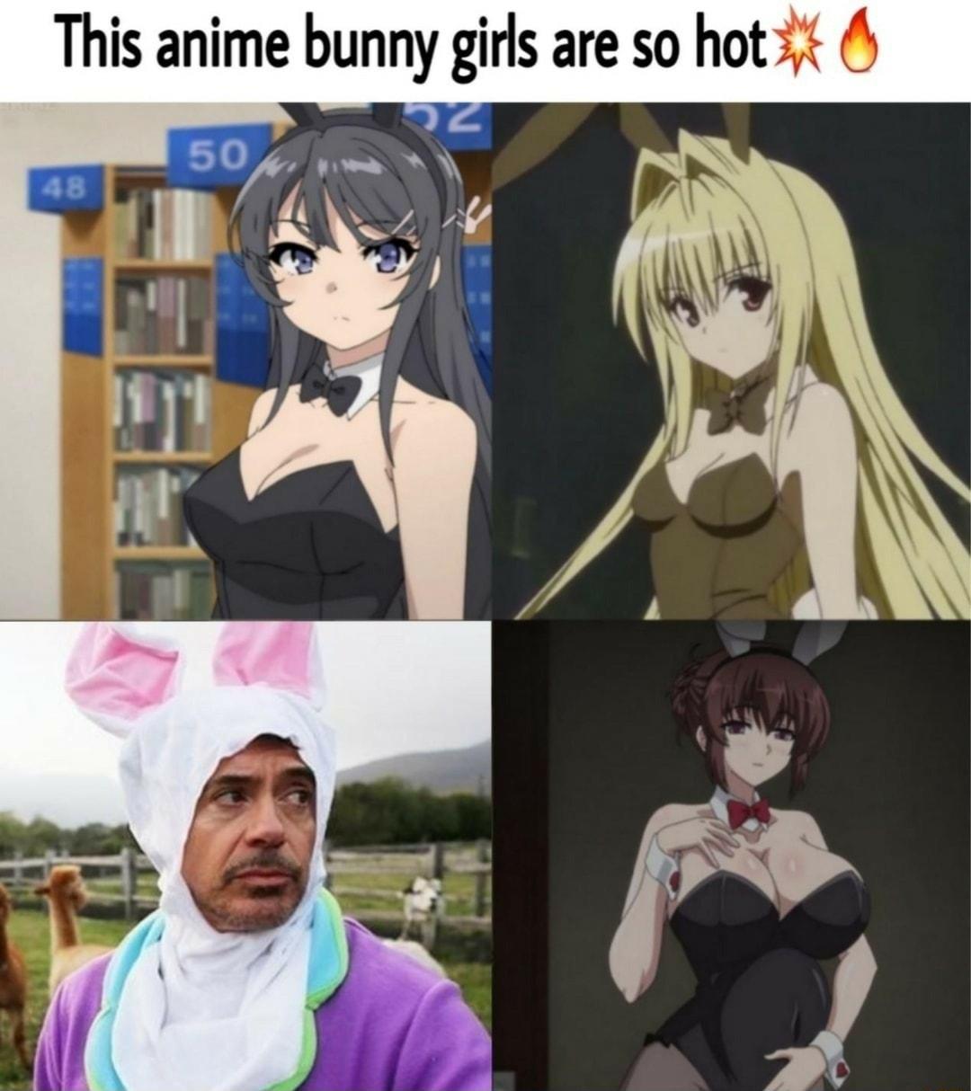 This anime bunny girls are so hot 3