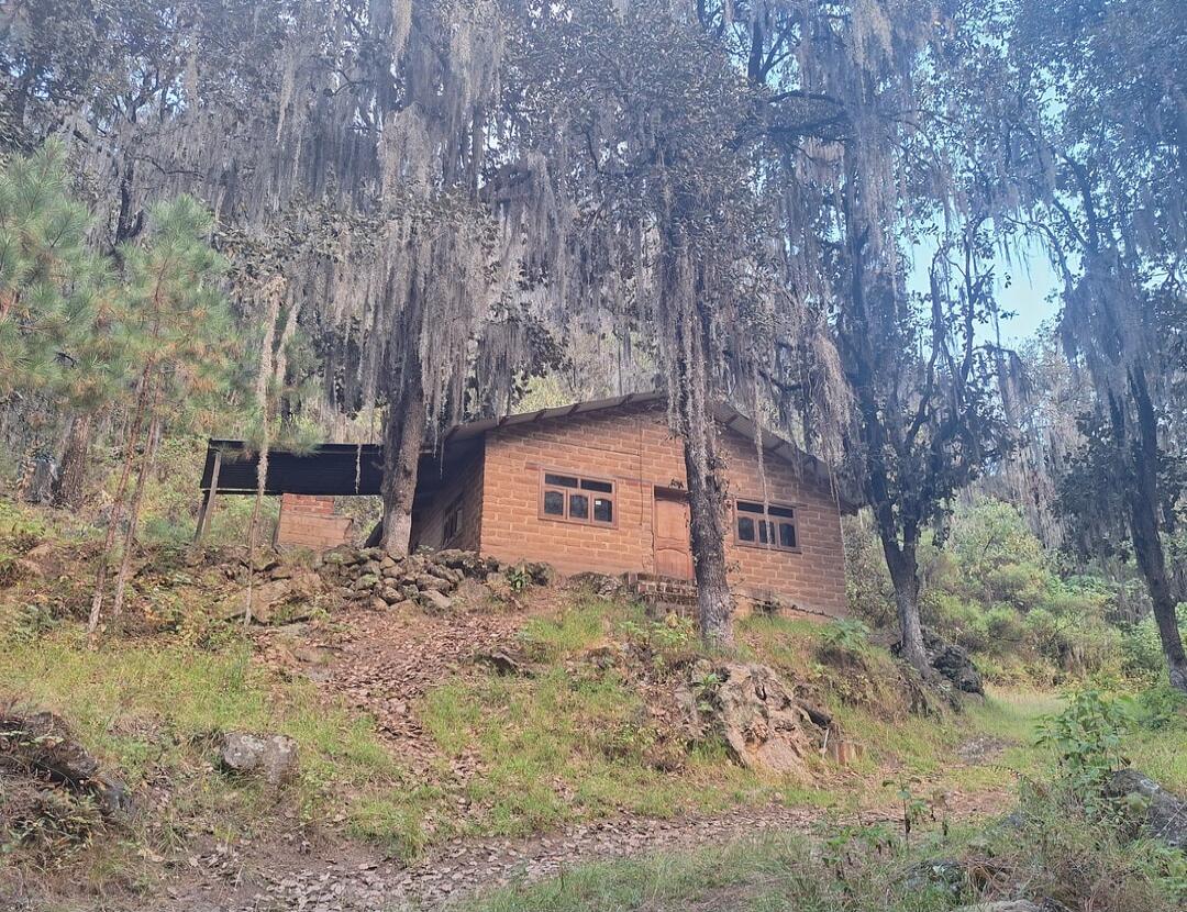 Session ID: 1028364.