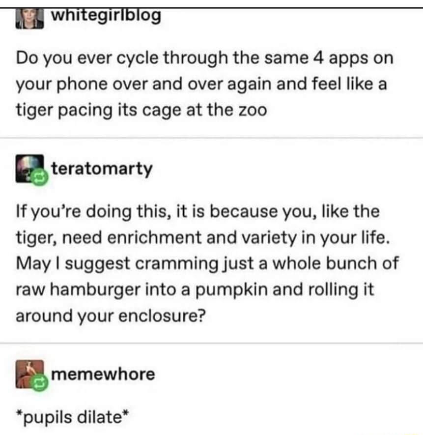 whitegiriblog Do you ever cycle through the same 4 apps on your phone over and over again and feel like a tiger pacing its cage at the zoo terntomarty If youre doing this it is because you like the tiger need enrichment and variety in your life May suggest cramming just a whole bunch of raw hamburger into a pumpkin and rolling it around your enclosure memewhore pupils dilate