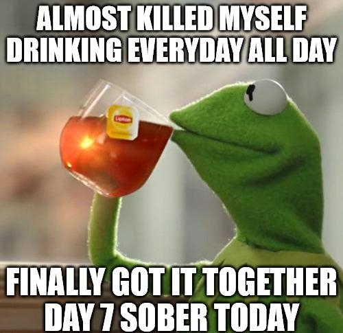 ALMOST KILLEDMYSELF DRINKING EVERYDAYALL DAY 27 FINALLY GOTIT TOGETHER DAY 7SOBER TODAY