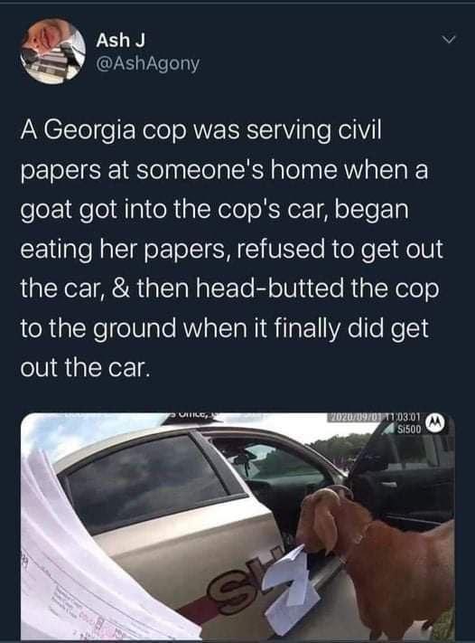 Q AshJ Q AshAgony A Georgia cop was serving civil papers at someones home when a goat got into the cops car began CEale Mol o Tol SHIUNTTo R oXe HelUS the car then head butted the cop to the ground when it finally did get out the car