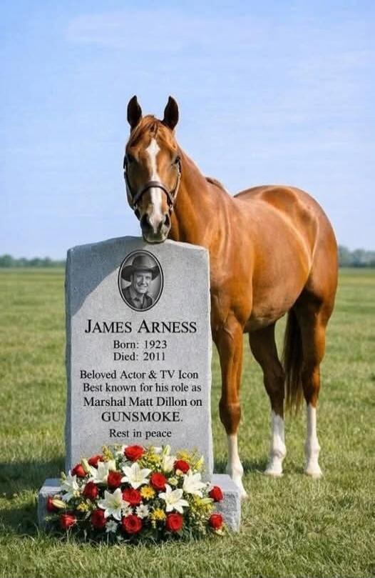 JAMES ARNESS Born: 1923 Died: 2011 Beloved Actor & TV Icon Best known for his role as Marshal Matt Dillon on GUNSMOKE. Rest in peace
