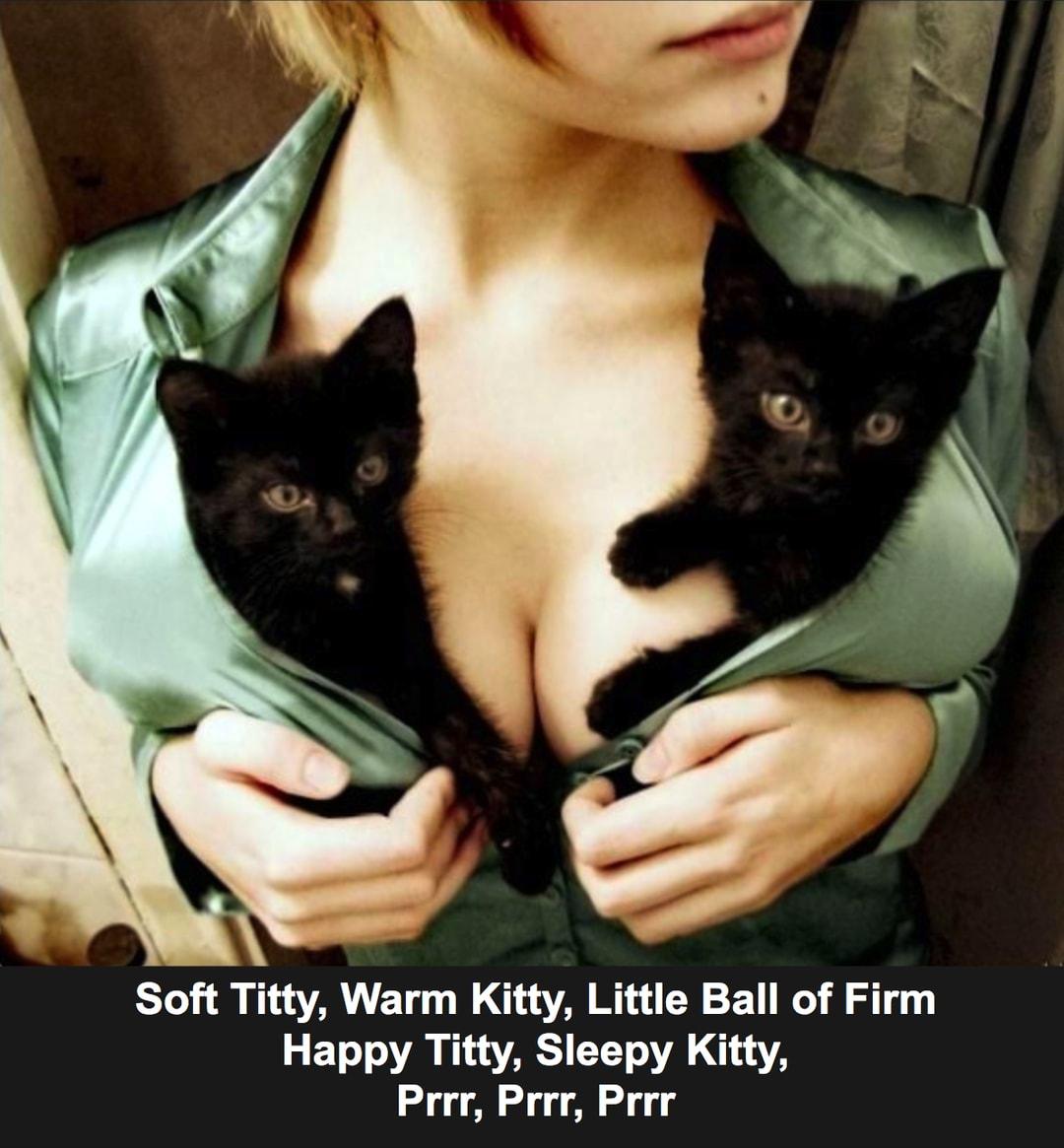 A Soft Titty Warm Kitty Little Ball of Firm Happy Titty Sleepy Kitty Prrr Prrr Prrr