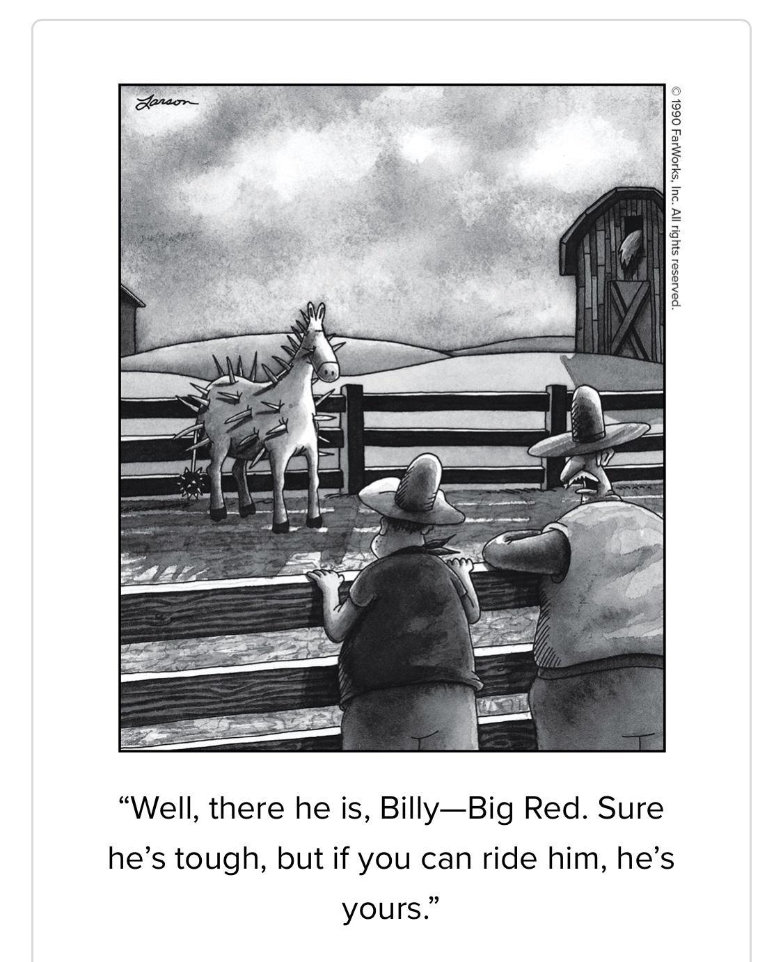 8 o g 9 F o z Z 2 8 2 3 L Well there he is BillyBig Red Sure hes tough but if you can ride him hes yours