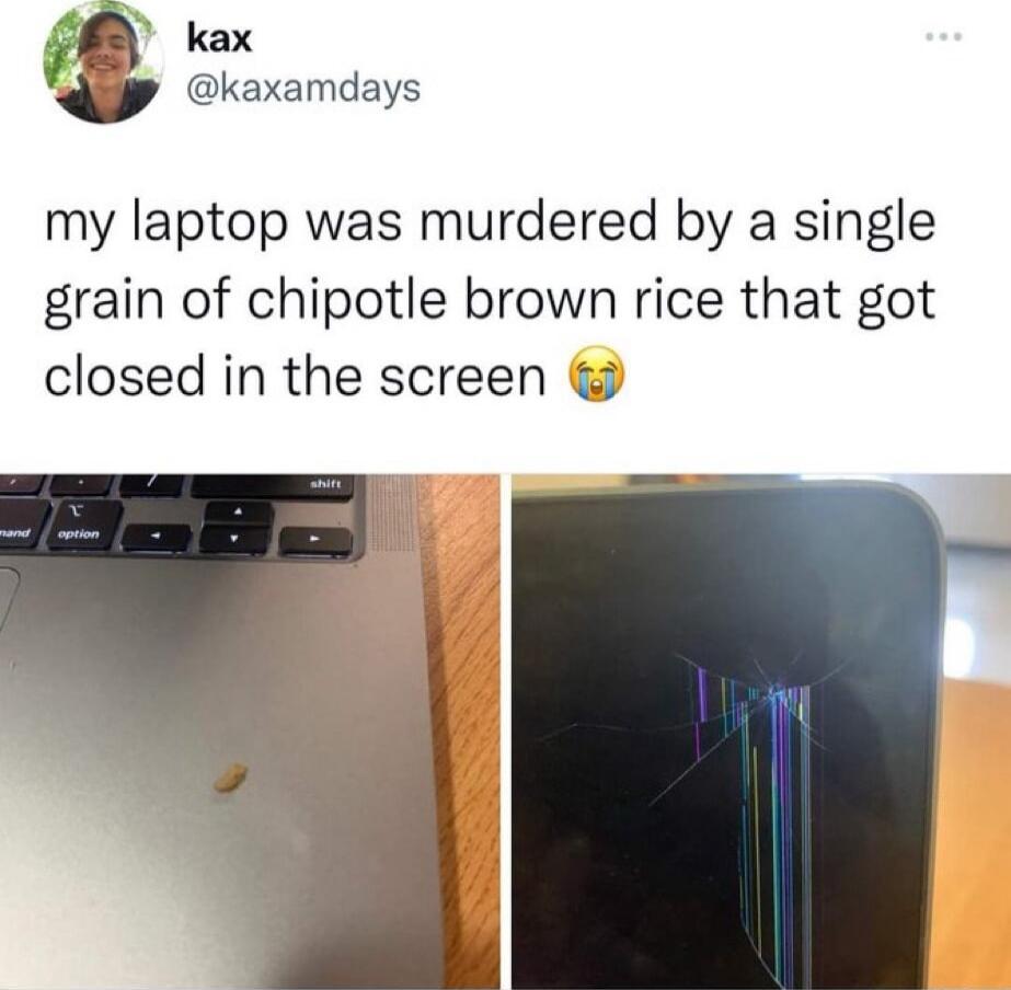 kax i Qkaxamdays my laptop was murdered by a single grain of chipotle brown rice that got closed in the screen