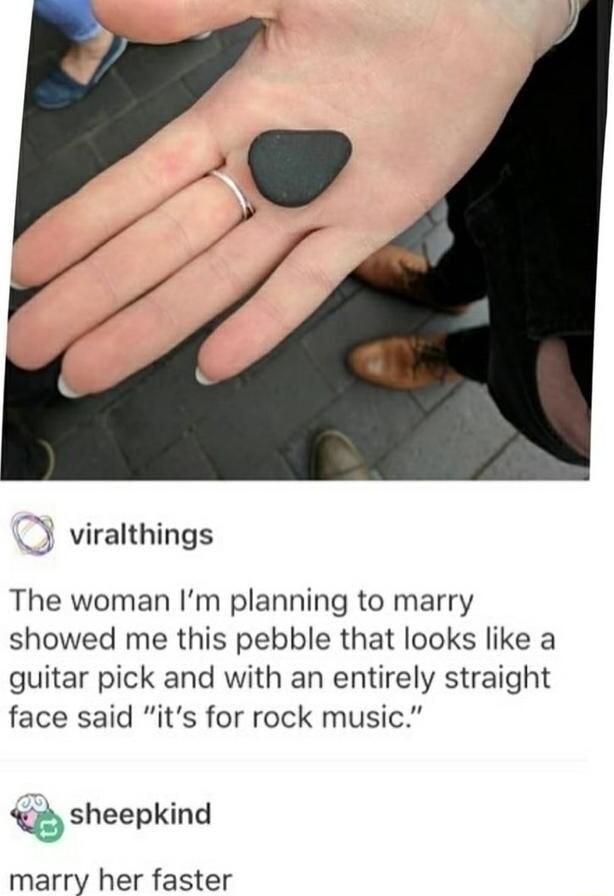 viralthings The woman Im planning to marry showed me this pebble that looks like a guitar pick and with an entirely straight face said its for rock music sheepkind marry her faster