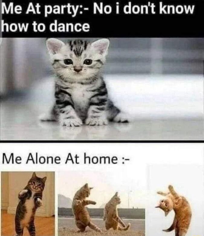 Me At party No i dont know how to dance Me Alone At home Ule