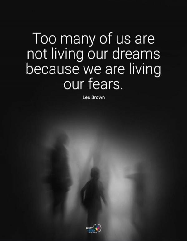 Too many of us are not living our dreams because we are living our fears. Les Brown