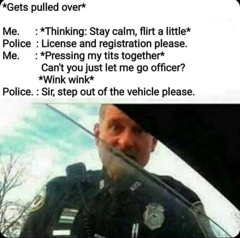 Gets pulled over Me Thinking Stay calm flirt a little Police License and registration please Me Pressing my tits together Cant you just let me go officer Wink wink ir step out of the vehicle please Police