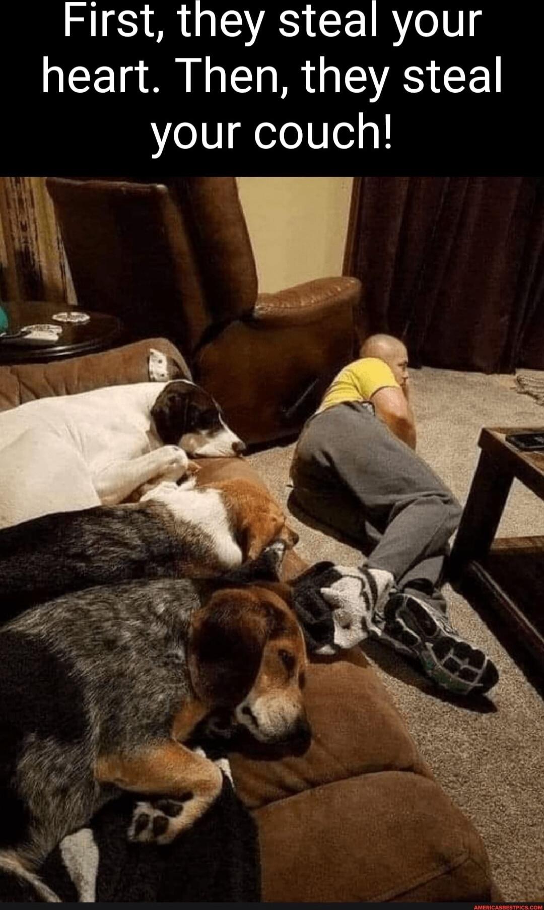 First, they steal your heart. Then, they steal your couch!