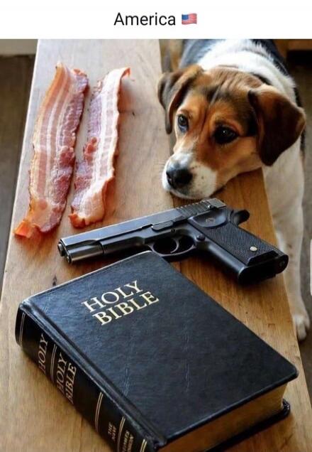 America 🇺🇸
Holy Bible