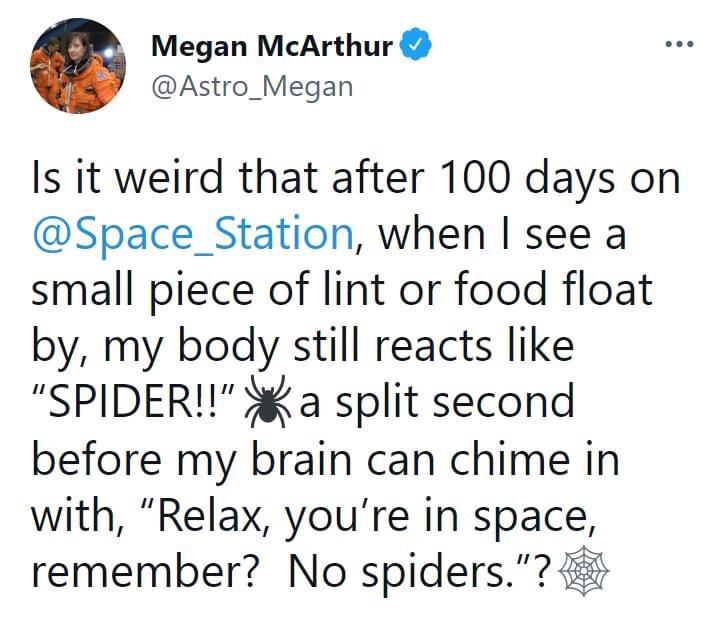 Megan McArthur Astro_Megan Is it weird that after 100 days on Space_Station when see a small piece of lint or food float by my body still reacts like SPIDER a split second before my brain can chime in with Relax youre in space remember No spiders