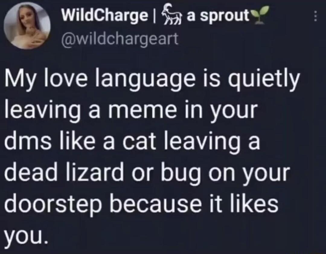 wildCharge a sprout wildchargeart AT RETa e VETo SRENe B114Y leaving a meme in your dms like a cat leaving a dead lizard or bug on your doorstep because it likes you