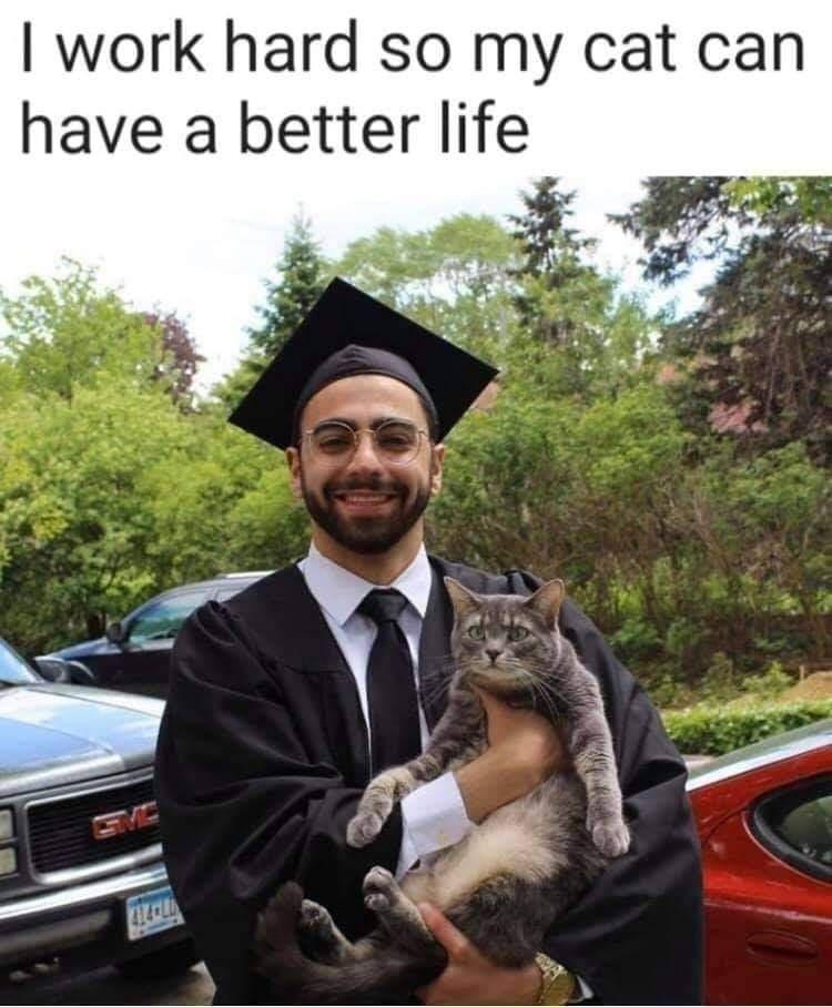 work hard so my cat can have a better life