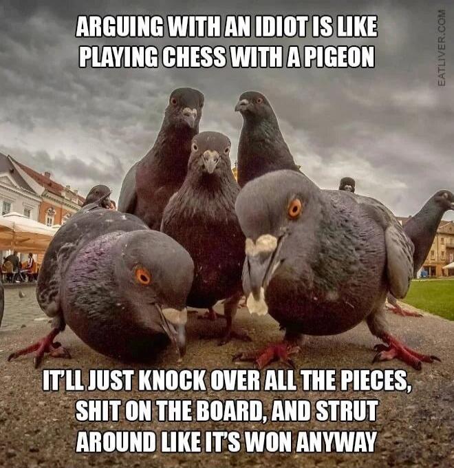 ARGUING WITH AN IDIOT IS LIKE PLAYING CHESS WITH A PIGEON IT'LL JUST KNOCK OVER ALL THE PIECES, SHIT ON THE BOARD, AND STRUT AROUND LIKE IT'S WON ANYWAY