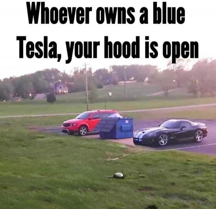 Whoever owns a blue Tesla, your hood is open