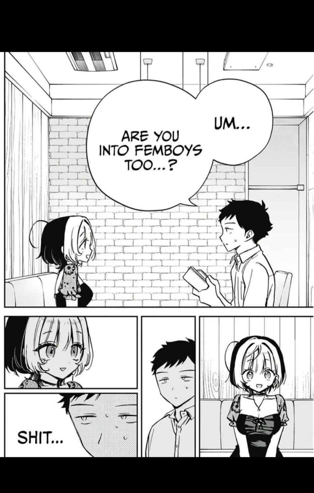 ARE YOU INTO FEMBOYS