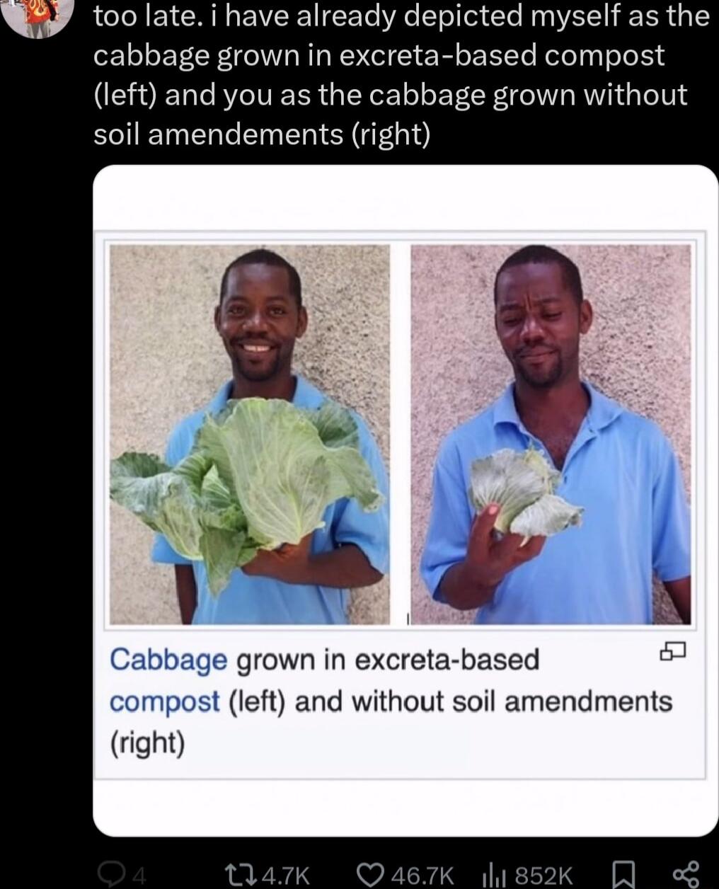 LB AR EVCRE L CETo el sl o el A R cabbage grown in excreta based compost CUERC R ESRGETEL L CR MTRIG I IN soil amendements right Cabbage grown in excreta based compost left and without soil amendments right