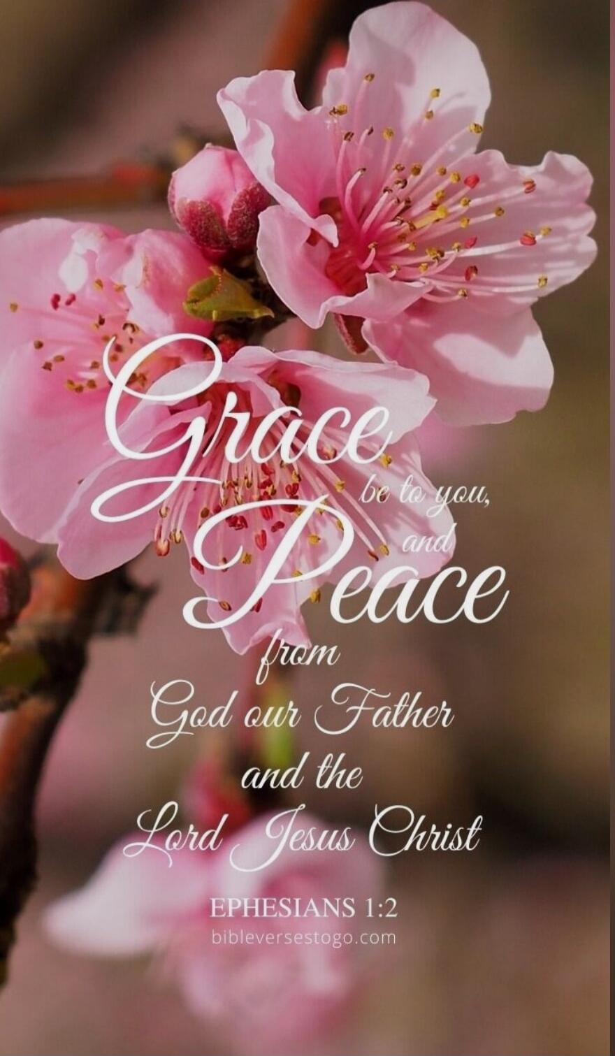 Grace be to you, and Peace from God our Father and the Lord Jesus Christ
EPHESIANS 1:2