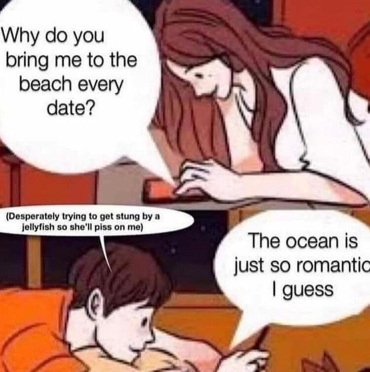 e Why do you bring me to the beach every Desparataly trying to got stung by a olyish 50 shel piss on me The ocean is just so romantic