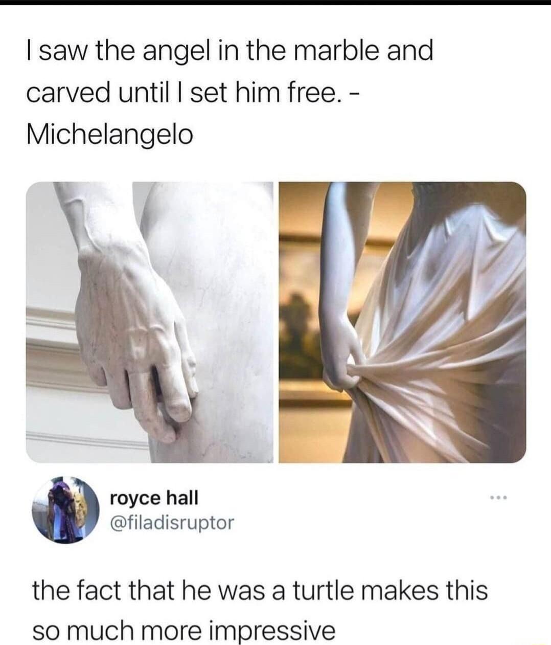 saw the angel in the marble and carved until set him free Michelangelo royce hall filadisruptor the fact that he was a turtle makes this SO much more impressive