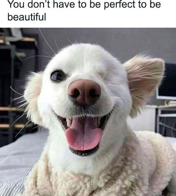 You dont have to be perfect to be beautiful