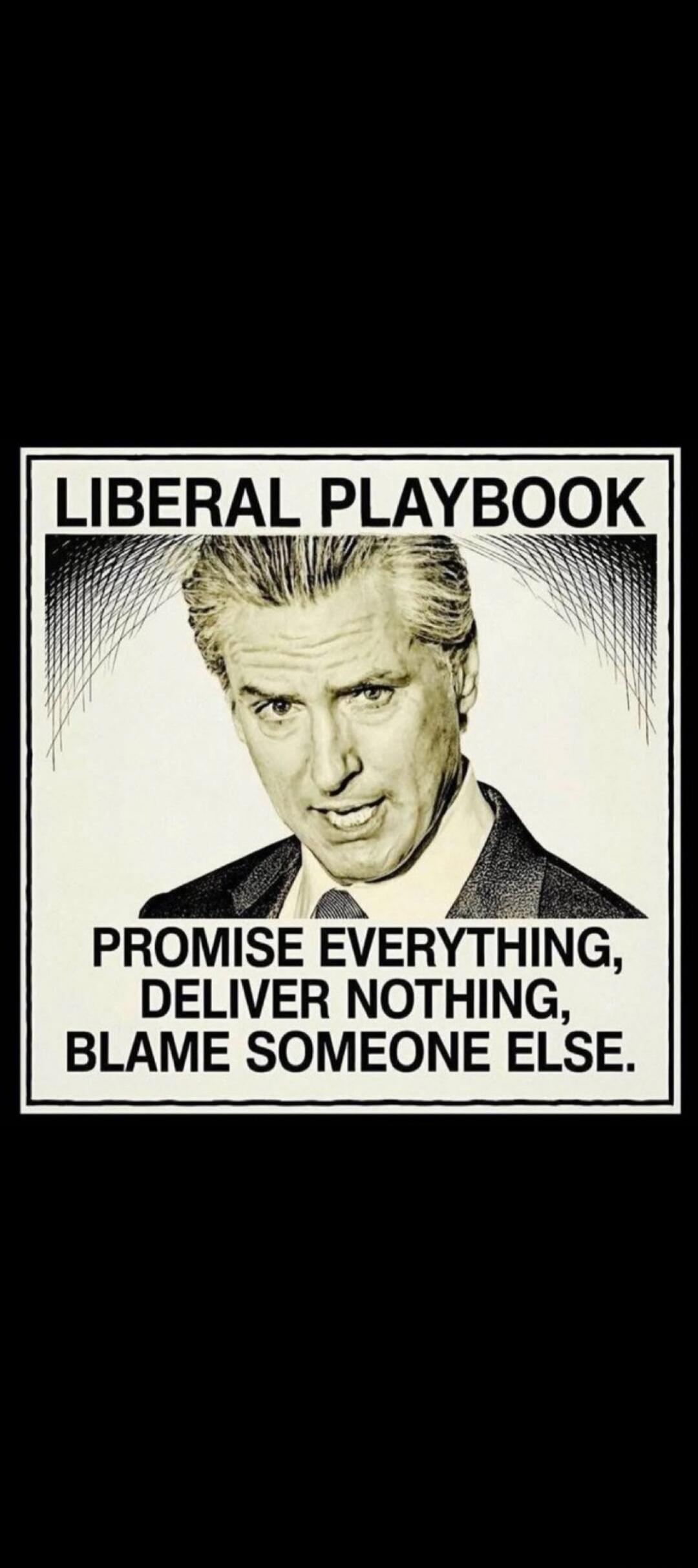 LIBERAL PLAYBOOK
PROMISE EVERYTHING, DELIVER NOTHING, BLAME SOMEONE ELSE.