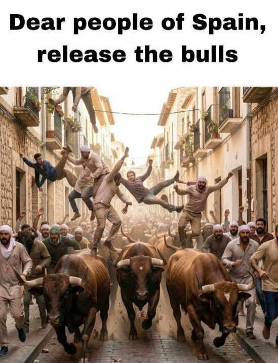 Dear people of Spain, release the bulls