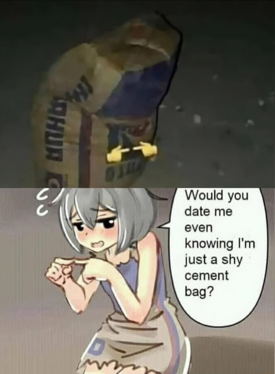 Would you date me even knowing Im just a shy cement bag