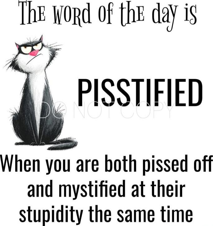 The word of the day is PISSTIFIED
When you are both pissed off and mystified at their stupidity the same time
