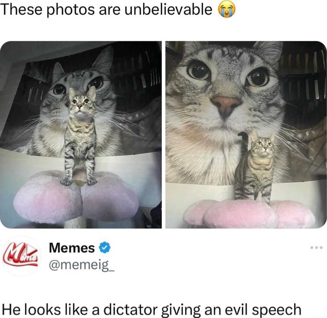 These photos are unbelievable Memes memeig_ He looks like a dictator giving an evil speech