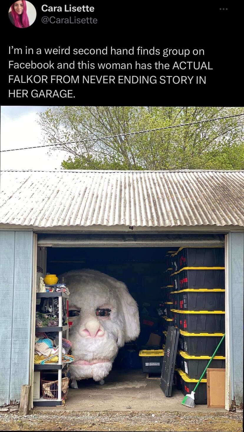 Cara Lisette Im in a weird second hand finds group on Facebook and this woman has the ACTUAL FALKOR FROM NEVER ENDING STORY IN HER GARAGE