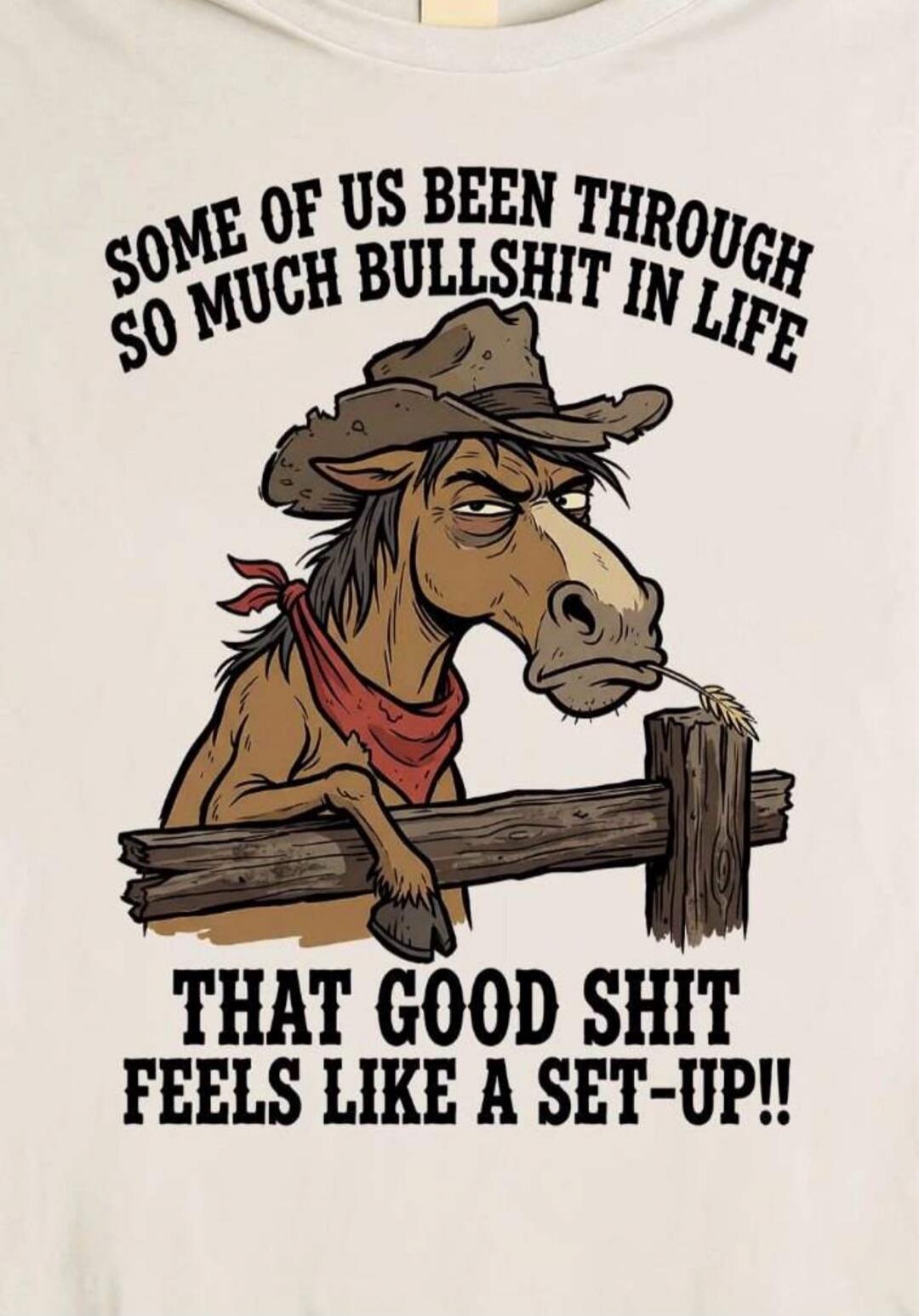 SOME OF US BEEN THROUGH SO MUCH BULLSHIT IN LIFE THAT GOOD SHIT FEELS LIKE A SET-UP!!