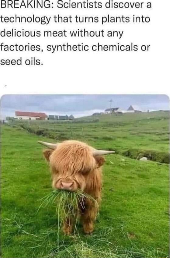 echnology that turns plants into delicious meat without any actories synthetic chemicals or seed oils