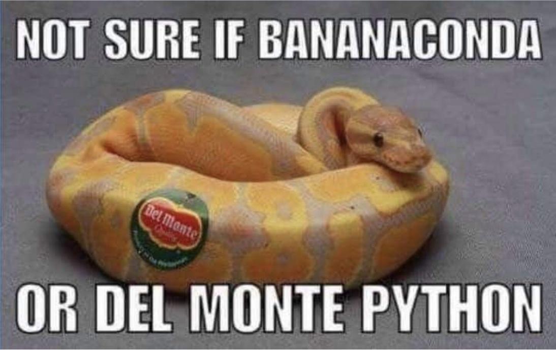 NOT SURE IF BANANACONDA R D OR DELMONTE PYTHON