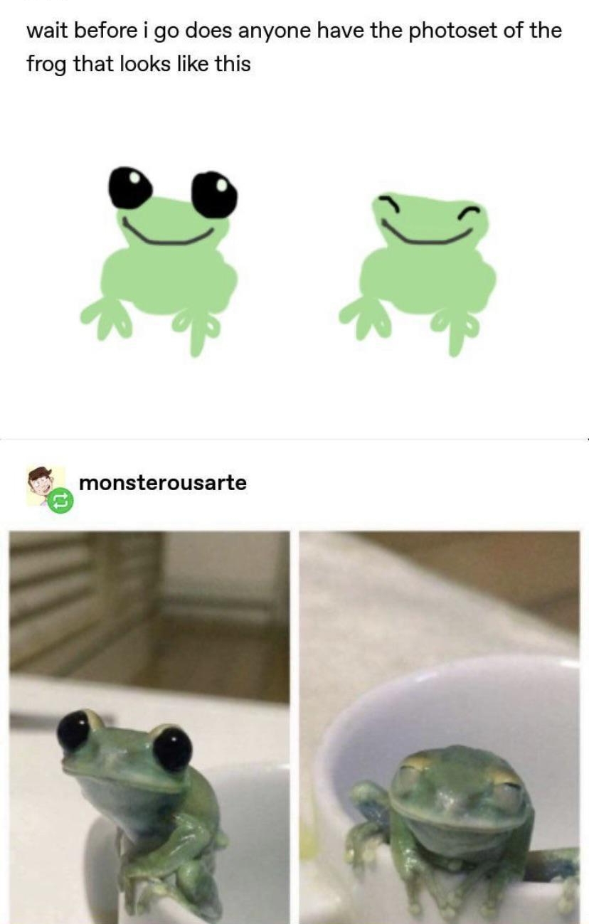 wait before i go does anyone have the photoset of the frog that looks like this Q monsterousarte